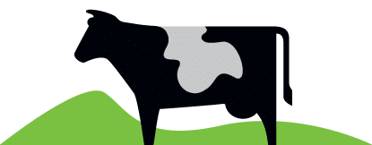 Cow milk yoghurt illustration