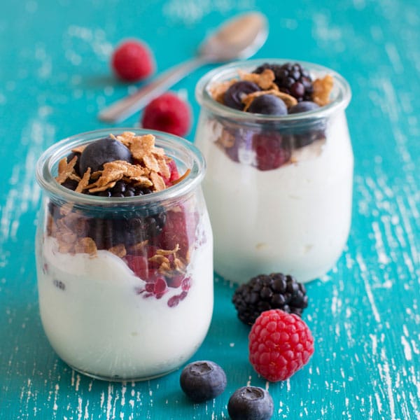 Frozen Yoghurt with Berries